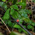 Home irriga Irrigation Equipment