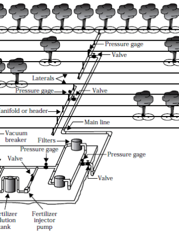 Typical-drip-irrigation-system-layout-1